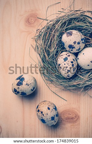 Vintage picture. Easter eggs in nest on rustic wooden planks 