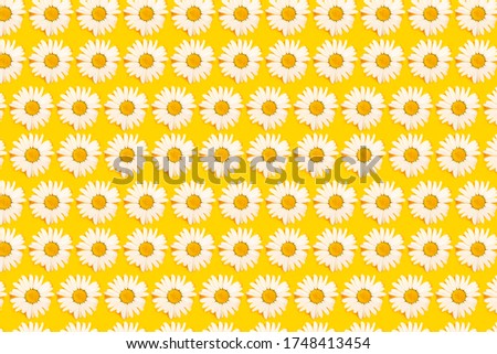 Floral camomile pattern on bright yellow background, top view, flat lay, banner size