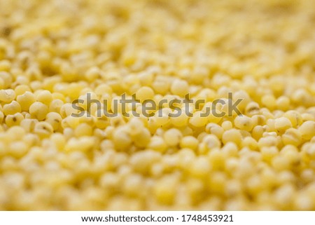 Macro shot of millet seeds