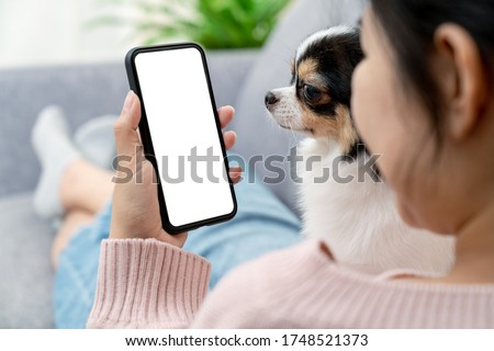 Close up back rear view of young asian female with pet hold phone on white blank screen for montage mockup display device watch screen in concept of lifestyle with digital technology in millennial. Royalty-Free Stock Photo #1748521373