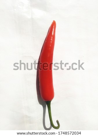 Perfect chili isolated in white background