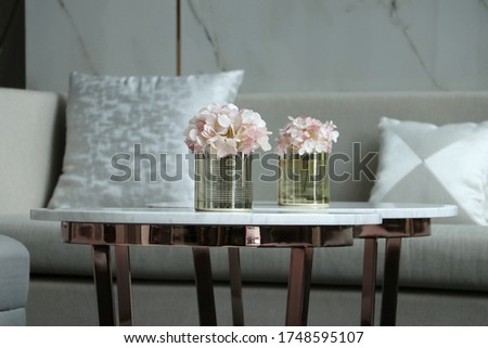 Close up fake plant on coffee table, decoration in living room Royalty-Free Stock Photo #1748595107