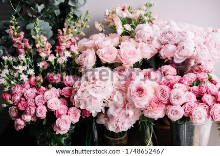 Beautiful blossoming roses, carnation, peony, hydrangea, matthiola, ranunculus flowers in tender pink colors, standing in vases at the florist shop Royalty-Free Stock Photo #1748652467