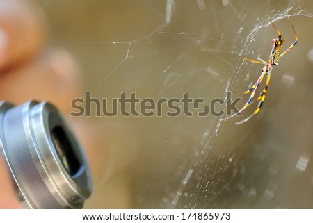 a macro shot of a photographer taking a spider picture in macro mode