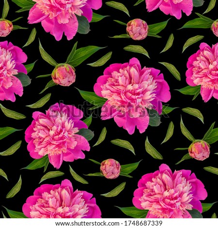 Pink peony flowers seamless pattern made of photo on black background. Blooming print for textile, website floral design. Rose colored Paeonia lactiflora plants with green leaves. Colorful petals.