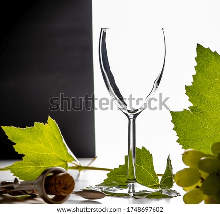 empty wine glass on a white background on the right with a vine and a corkscrew, copy space on the left side on a black background