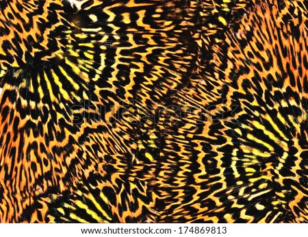 Seamless Tiger pattern background 