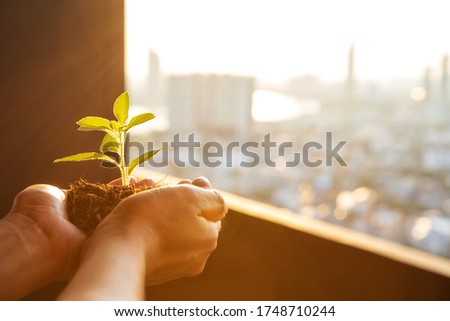 Female hand holding trees growing seedlings on condominium with blured city skyline in the evening, Environment Earth Day concept