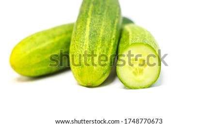 Fresh cucumber close-up photography with white background. 