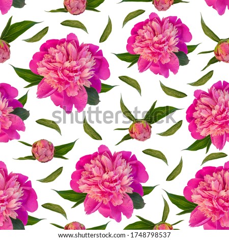 Pink peony flowers seamless pattern made of photo on white background. Blooming print for textile, website floral design. Rose colored flowering plant with green leaves and colorful petals.
