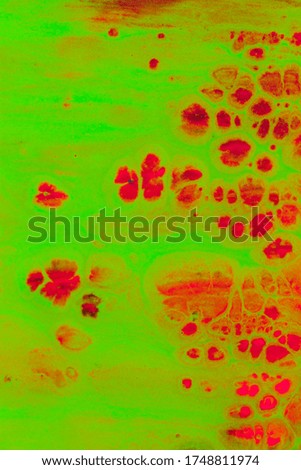 Abstract modern colorful background.Explosion of vibrant and vivid colors