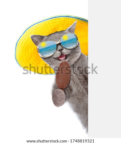Happy cat wearing summer hat and mirrored sunglasses holds ice cream and looks from behind empty board. isolated on white background