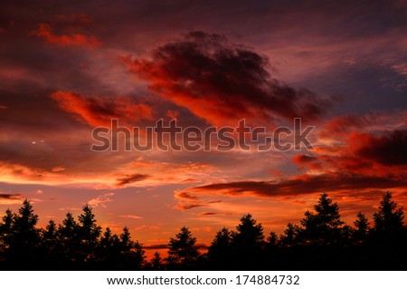 Evil red sunset sky