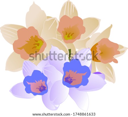 Vector drawing of a bouquet of handmade flowers on a white isolated background. Daffodils flat, cartoon. Registration of cards, menus, banners, printing on fabric, covers