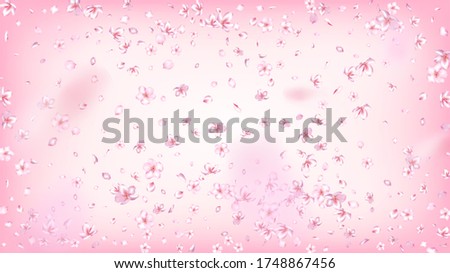 Nice Sakura Blossom Isolated Vector. Magic Showering 3d Petals Wedding Design. Japanese Bokeh Flowers Illustration. Valentine, Mother's Day Feminine Nice Sakura Blossom Isolated on Rose