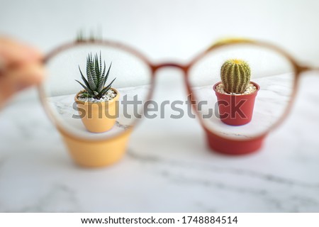 Close up of eye glasses for nearsightedness myopia with vision blurry, but sharp in lenses. Bad eyesight concept Royalty-Free Stock Photo #1748884514
