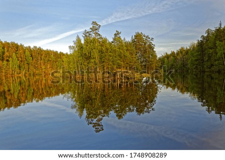 Natural ecological clean island. Russian tourism. Green trees are reflected in the water of the lake. Graphics patterns on the water