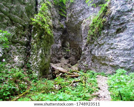 Path leading into a narrow passage at Pokljuka gorge  Royalty-Free Stock Photo #1748923511