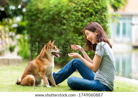 Young female and dog summer concept. The girl plays with the Shiba Inu dog in the backyard. Asian women are teaching and training dogs to greet by shake hands. Royalty-Free Stock Photo #1749060887