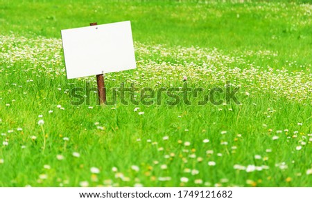 Blank plate on a bright green lawn with space for your text. Mockup, copyspace.