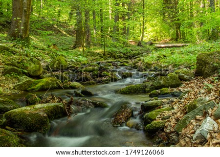 Long exposure photo of a river in the forest near Bear Cave, the longest cave in the Śnieżnik Mountains Royalty-Free Stock Photo #1749126068