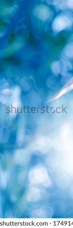 Blue light leaves blurred and blur natural abstract. Effect sunlight  soft bright shiny style  bokeh circle yellow and orange blurry morning . For wallpaper backdrop and background.
