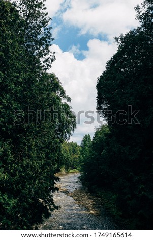A water stream surrounded by green trees