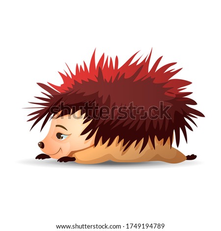 Cute hedgehog is lying on his stomach and sleeping. Vector hedgehog.  Cartoon characters