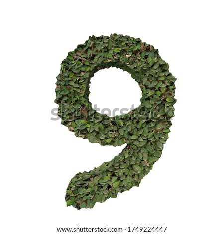 Hedge like looking letters signs and symbols