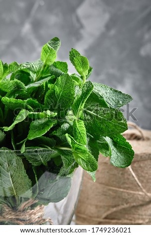 A bunch of fresh mint in a vase of water on a gray background, close-up. The concept of fresh food, packaging and online delivery of products. copies of the space.