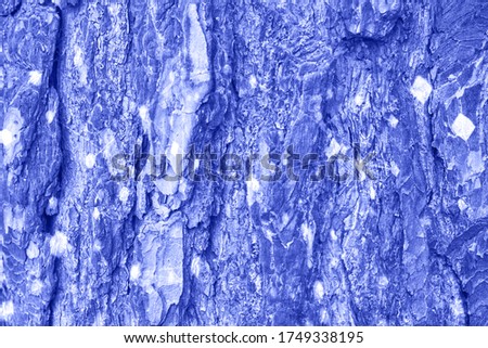 blue pine bark texture. Natural wooden element . zero waste concept. Home and office ecological background. forest solutions at room. Design transformation of space.Front view. Copyspase banner.