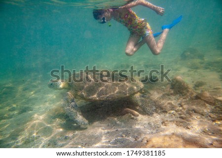 A girl swims with a large green turtle underwater in the ocean of the tropical sea.