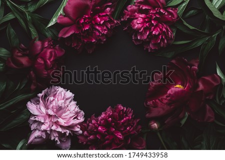 Beautiful peonies frame in dark colors. Black Floral background. Festive flowers concept. Soft focus, copy space.