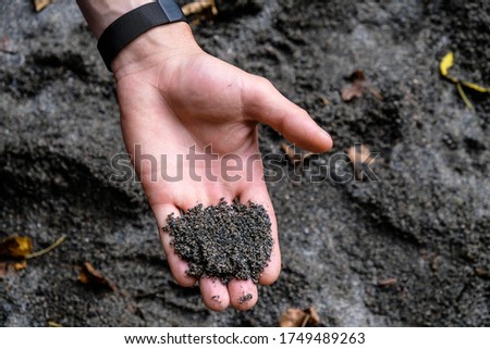 on the hand lies black volcanic sand nature