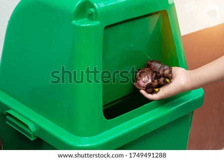 Hand A little child throwing Fruit Scraps into green colur recycle bin. 
environmental protection concept.