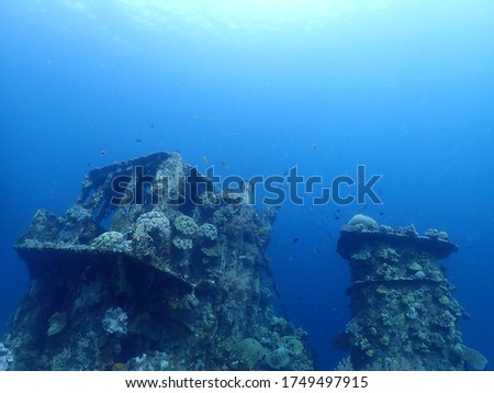 Wheelhouse on Atun Wreck in Rabaul , East New Britain Scuba Diving dive site . PNG diving spot  Royalty-Free Stock Photo #1749497915
