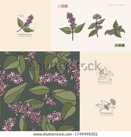 Vector illustration patchouli branch - vintage engraved style. Logo composition in retro botanical style. Seamless pattern