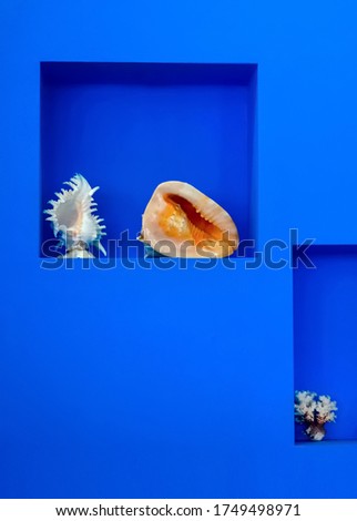 Sea shells on a blue background, color of the year 2020