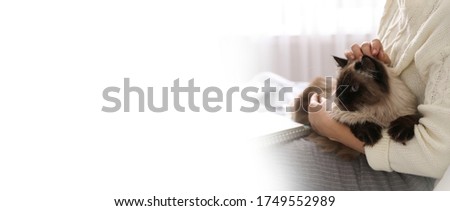 Woman with her cute pet at home, space for text. Banner design