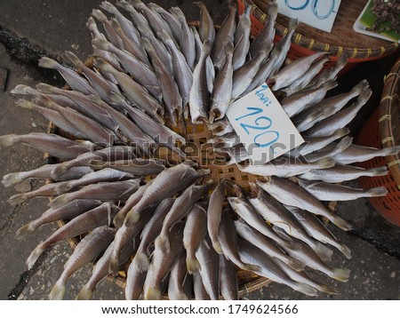 Street Food, Fish from the sea were placed on the market(Along with the price tag 1 Kg 120 baht) . To sell to customers