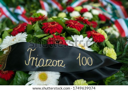 The 100th anniversary of the Treaty of Trianon in Hungary. Translation: "Trianon 100" Royalty-Free Stock Photo #1749639074