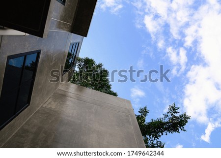 Office building and green tree over blue sky, modern architecture.