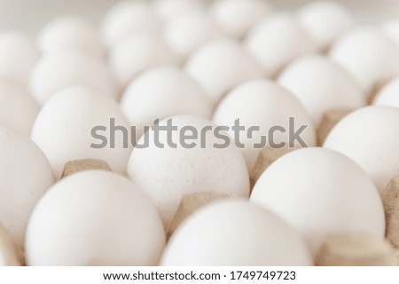 Closeup fresh organic white eggs in a paper tray.