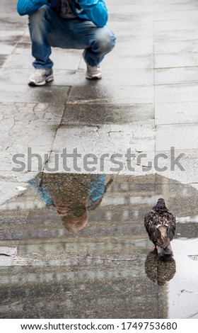 Urban photographer taking pictures of a pigeon