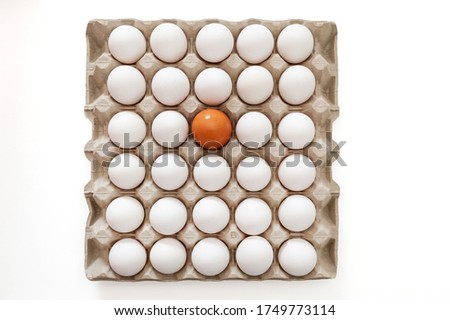 Top view of fresh organic white eggs and one brown packed in a paper tray.