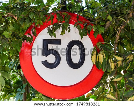 Road sign in the vegetation