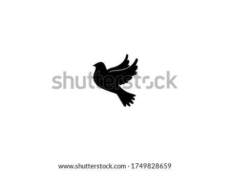 bird logo icon vector design