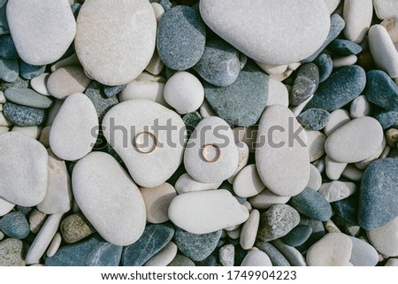 wedding rings on stones on the beach. Honeymoon at the sea