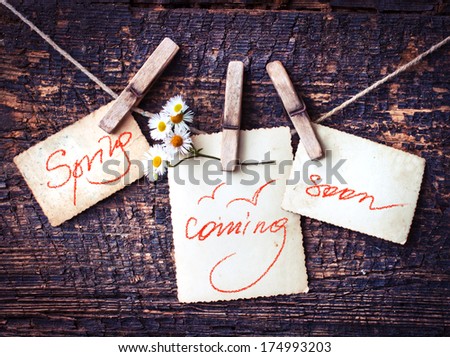 photo paper  on wooden background with spring symbol-white flower/ Spring background