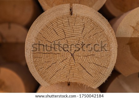 Round timber logs for building wooden house. Removing bark from logs using a machine. Pattern of logs. Woodworking factory. Lumber Industry. Deforestation for Industrial production.